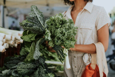 Legacy Healing Center Life in Recovery Visit These Amazing Farmers Markets in Miami to Get Outside and Jump Start Your Nutrition Miami Drug Rehab